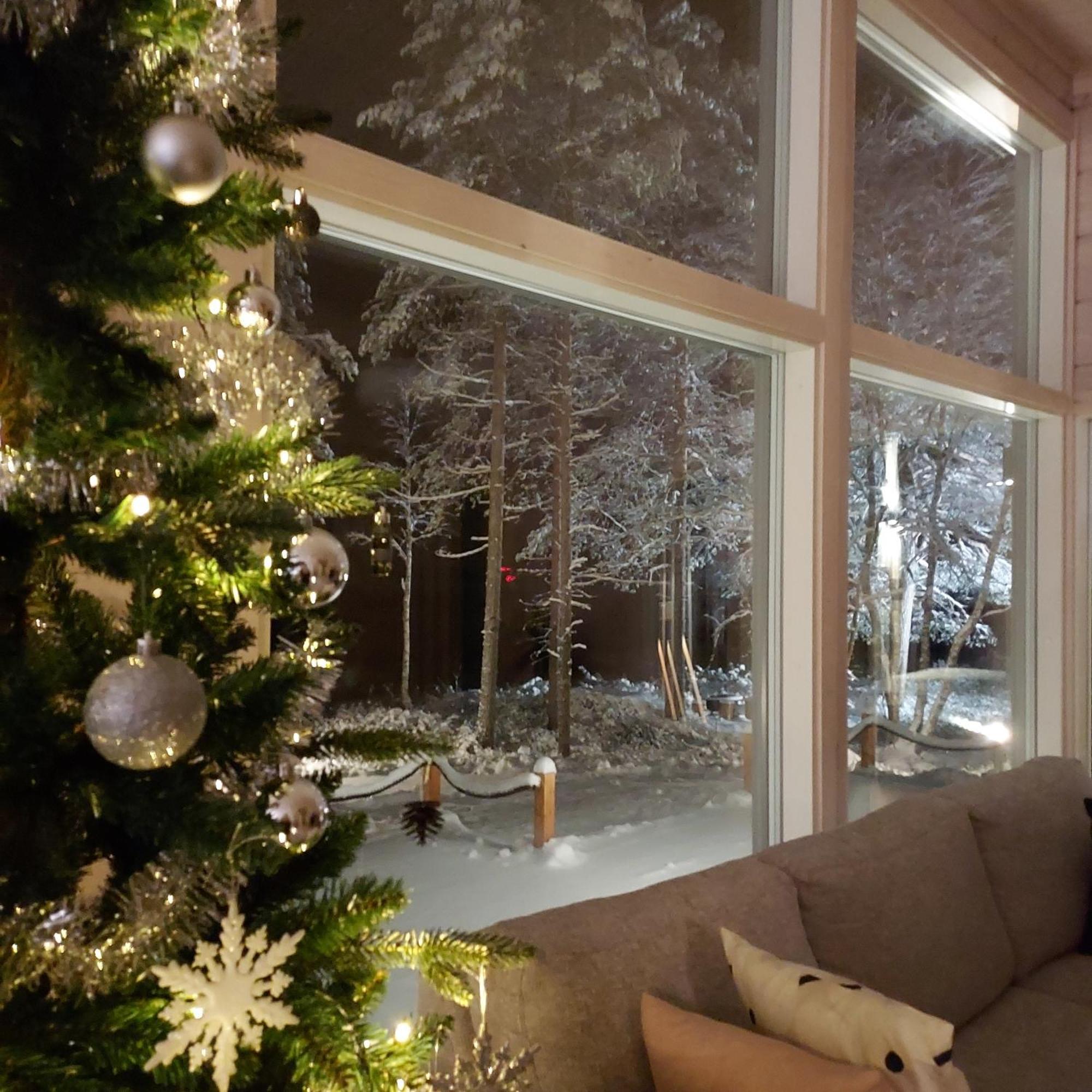 Villa Kuulas Saaskilahti Εξωτερικό φωτογραφία